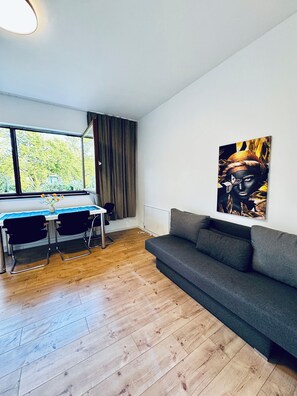 Rom – basic, hageutsikt | Strykejern/-brett og sengetøy