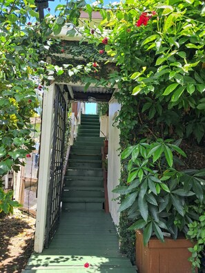 A narrow staircase surrounded by lush greenery and red flowers, leading to a building entrance. - Heritage Guest House Levuka  (Levuka)
