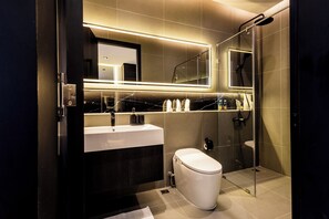 Ducha, bidet, toallas, papel higiénico
