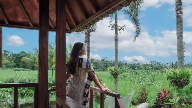 A wooden structure with a view of a lush green landscape and palm trees.