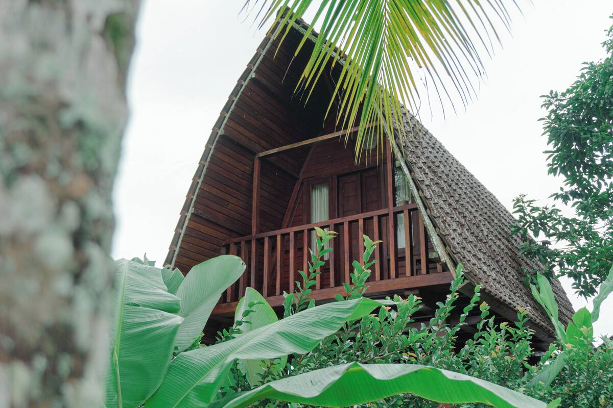 Une maison en bois, coiffée d’un toit de chaume, entourée d’une végétation luxuriante.