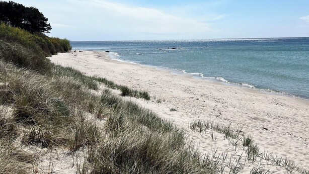 Une plage de sable avec des dunes et une vue dégagée sur l’océan.