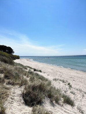 Une plage de sable avec des dunes et une vue dégagée sur l’océan.