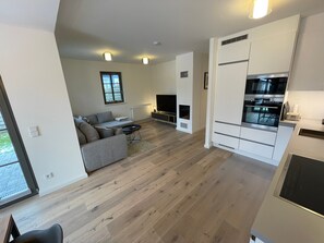 Fernseher, Kamin