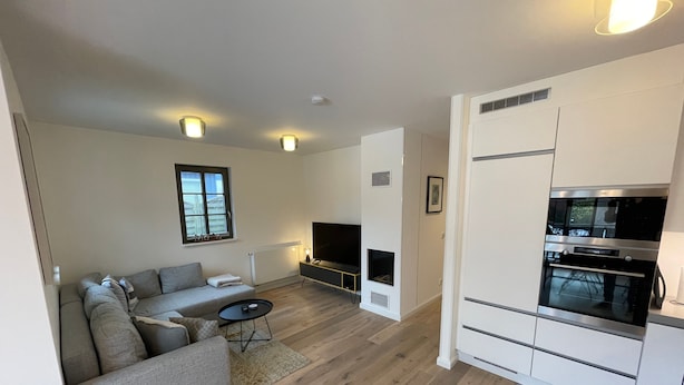 A modern living room with a sofa, TV, fireplace, and built-in kitchen appliances. - Apartment 'Kleine Mügge' with Private Terrace, Private Garden and Wi-Fi (Zingst)