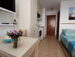 Free WiFi, bed sheets - Studio 'Ferienwohnung -1-' with Balcony and Wi-Fi (Freiburg im Breisgau)