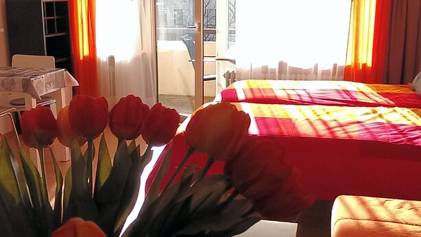 A hotel room with a bed, a desk, and a window with curtains. - Studio 'Falk Wohnung Nr -3-' with Mountain View, Balcony and Wi-Fi (Freiburg im Breisgau)