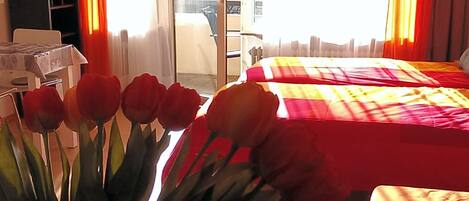 Wi-Fi gratuit, draps fournis