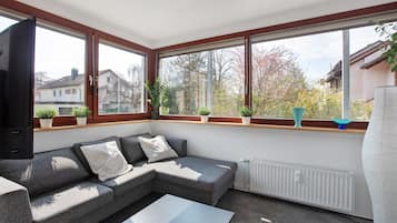 Télévision, cheminée