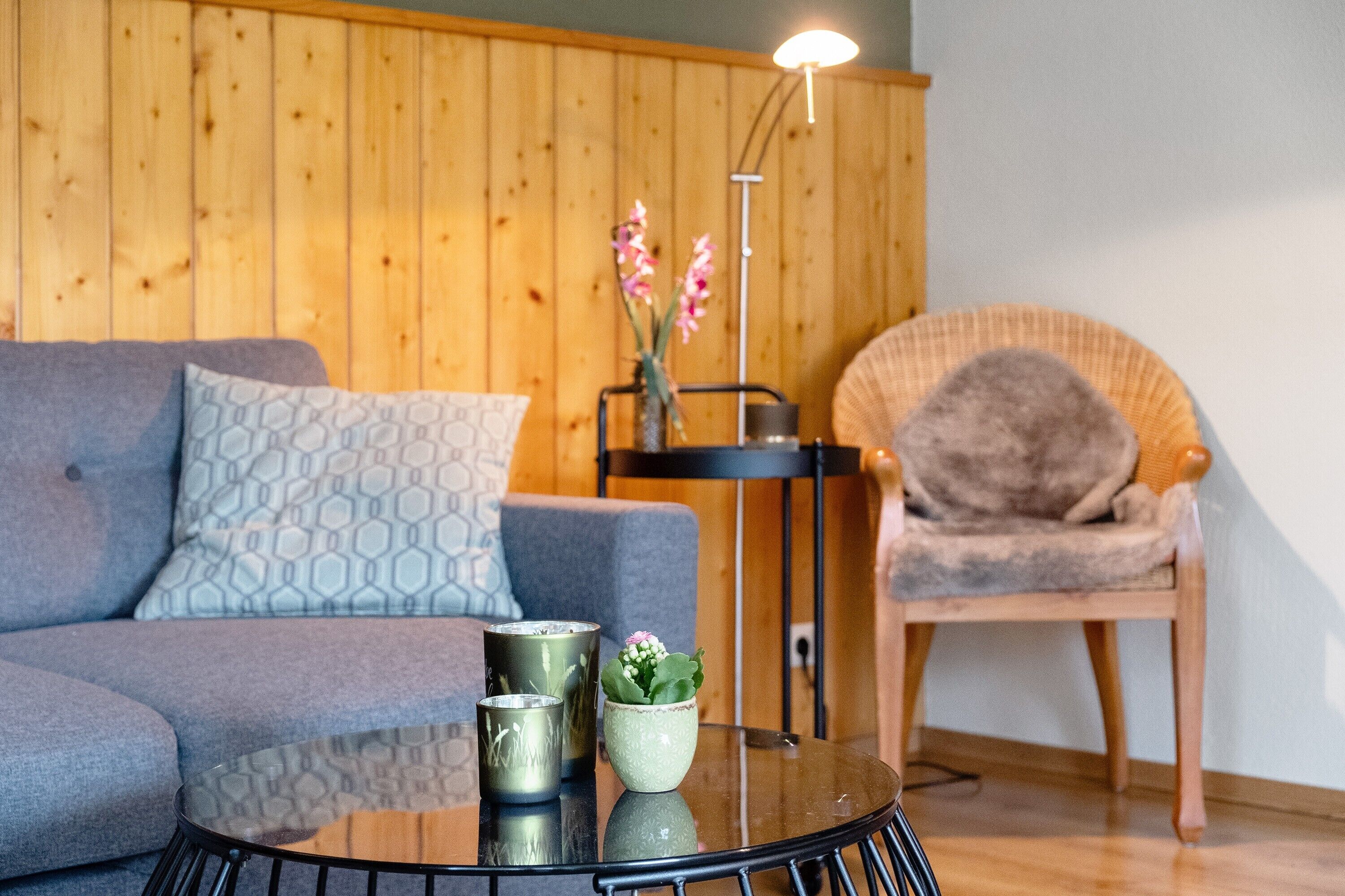 Télévision, table de tennis de table