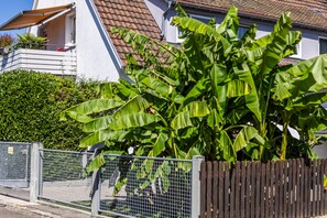 A residential area with a house featuring a tiled roof and a large banana tree in the foreground.
