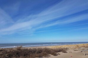Een strand met een heldere lucht en de oceaan op de achtergrond.