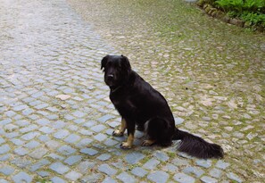 Comfort Apartment, 2 Bedrooms | Interior detail