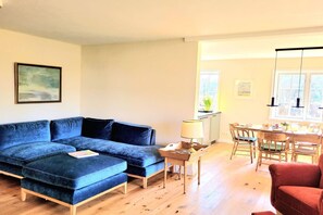 Smart TV, chimenea, libros