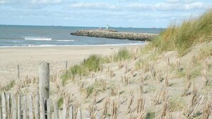 Una playa arenosa con una valla de madera y dunas cubiertas de hierba.