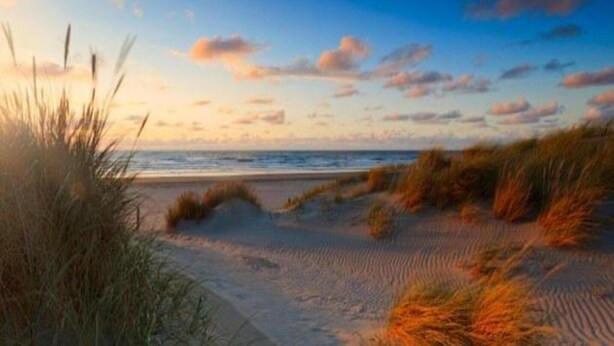 A beach with sand dunes and grasses. - 3-bedroom duplex apartment in Den Haag (Den Haag)
