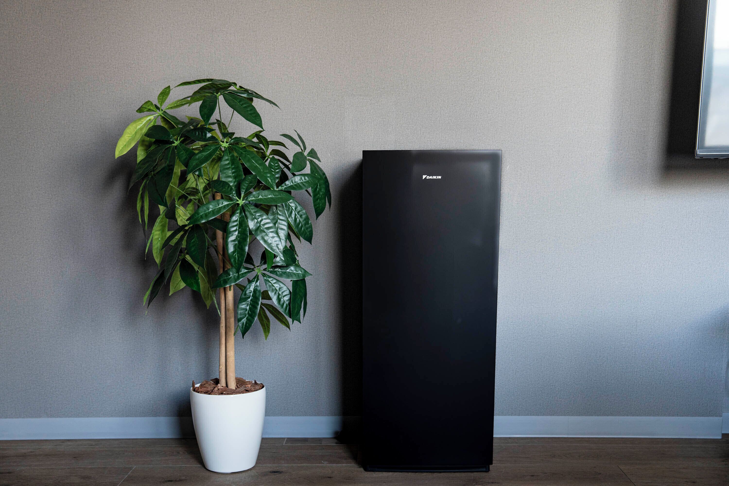 A black refrigerator and a potted plant in a corner.