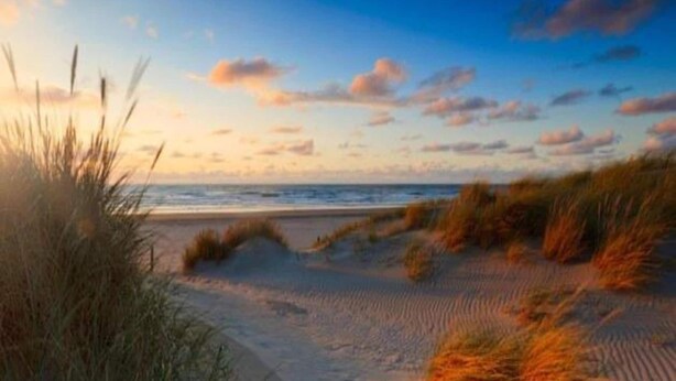 Une plage avec des dunes de sable et un ciel dégagé.