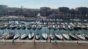 En havn med mange både fortøjet i række.
