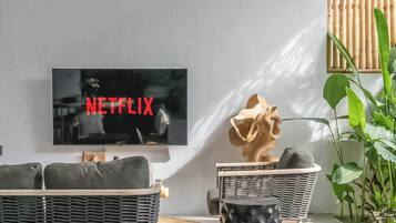 Fernseher, Arbeitsbereiche