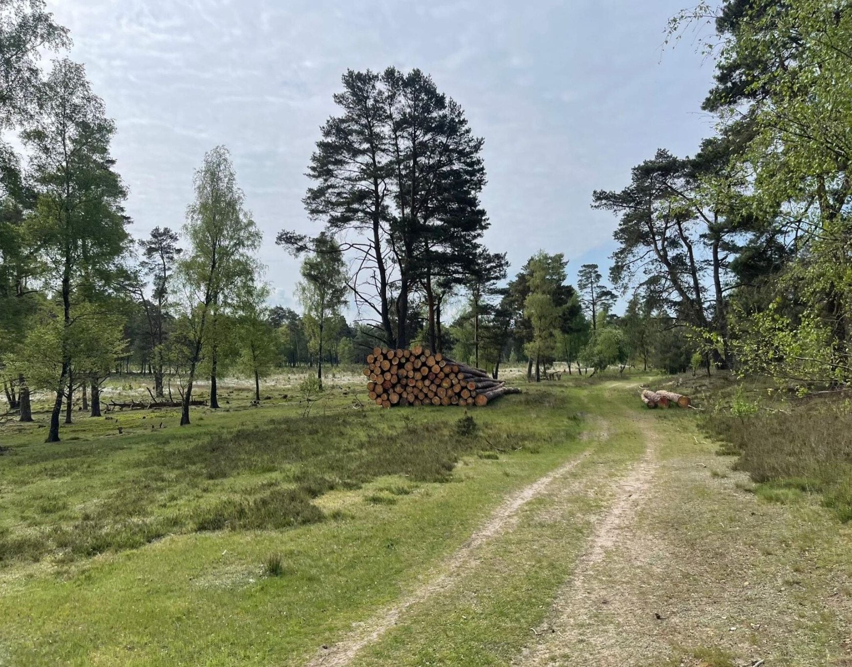 Direkte Umgebung [Sommer] (<1 km)