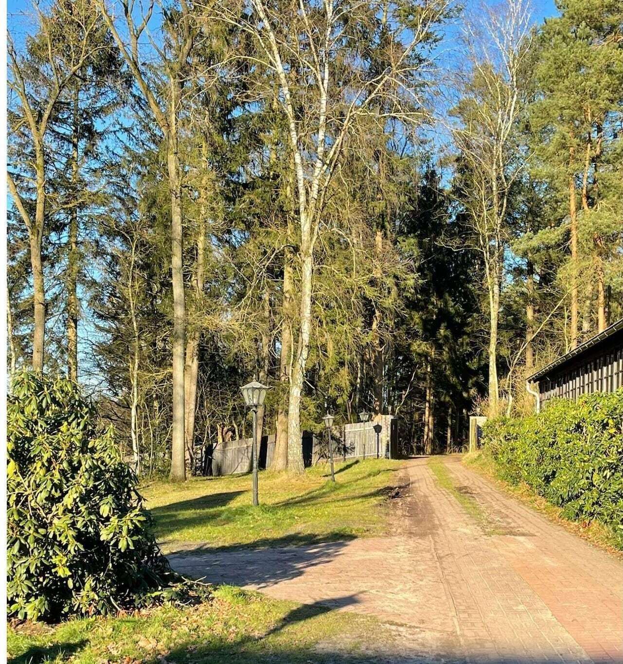 Eine ländliche Straße, gesäumt von hohen Bäumen und einem Holzzaun.