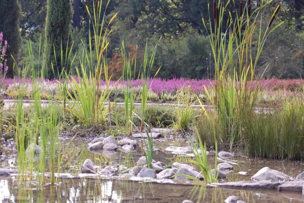 Property grounds - Ferienhaus fuer 10 Personen, Schneverdingen (Schneverdingen)