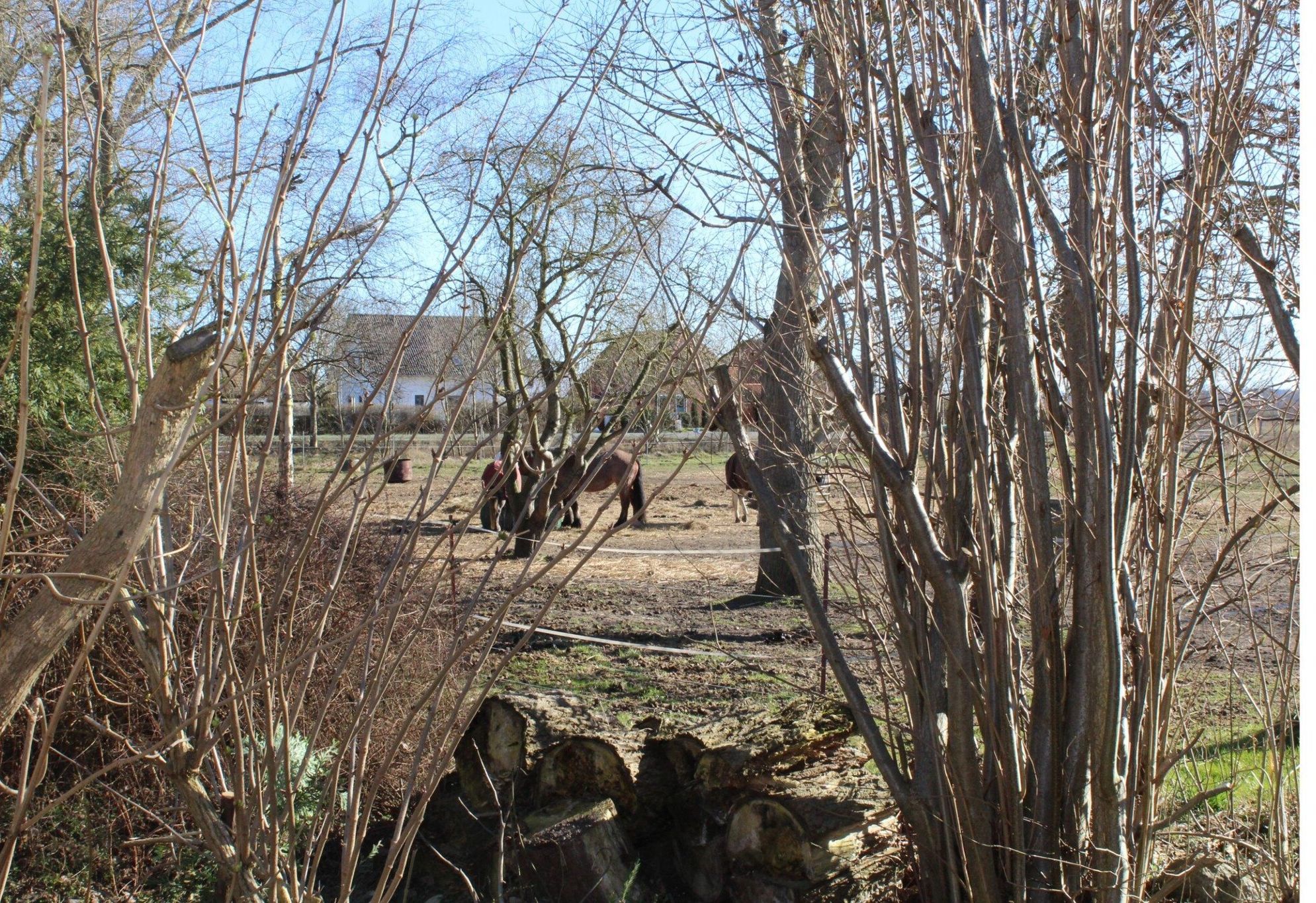 Immediate Surroundings [winter] (<1 km)