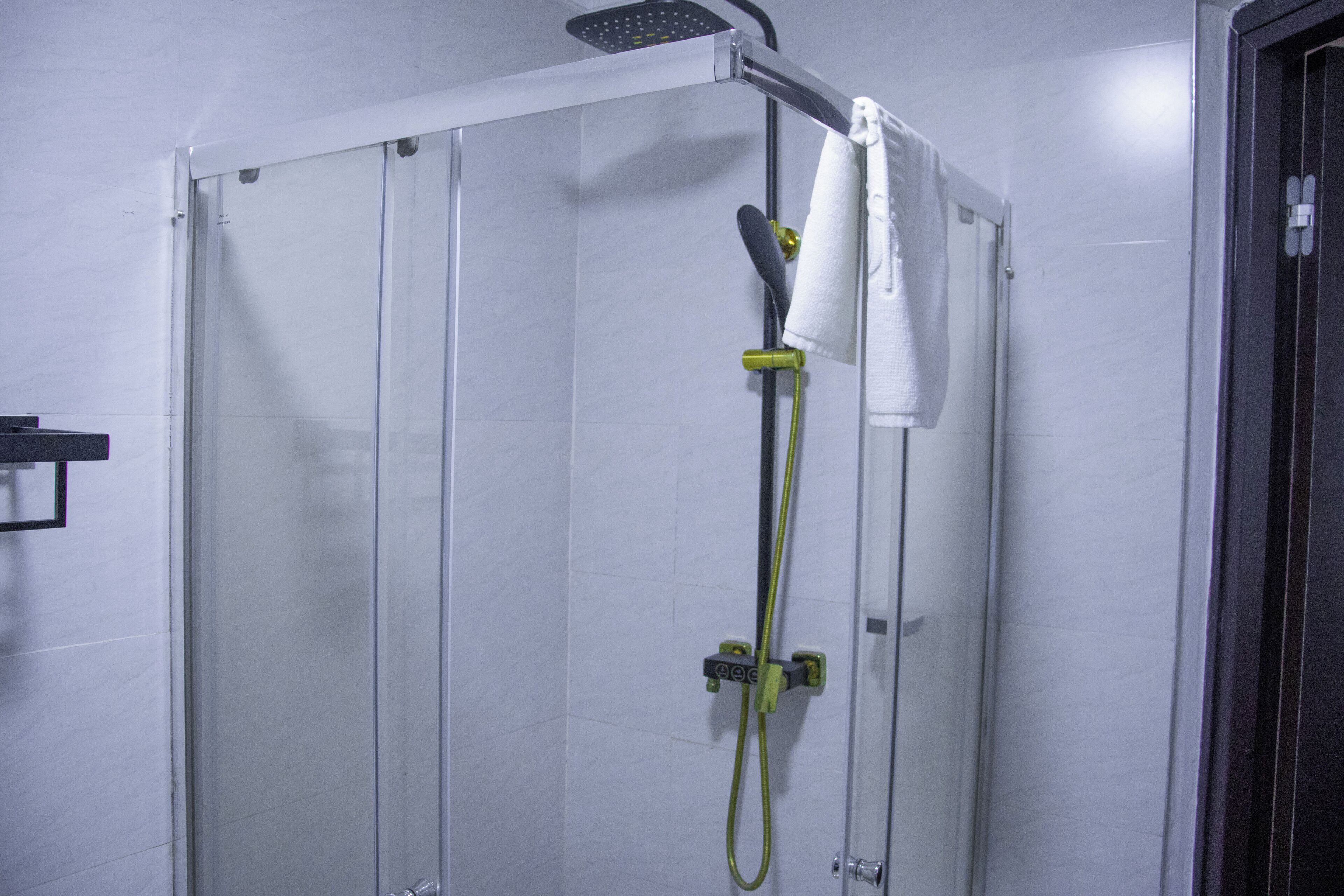 Une douche fermée par des parois en verre, dotée d’un pommeau de douche à main et d’un porte-serviettes.