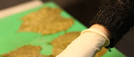 A person wearing gloves handling a leaf on a green surface.