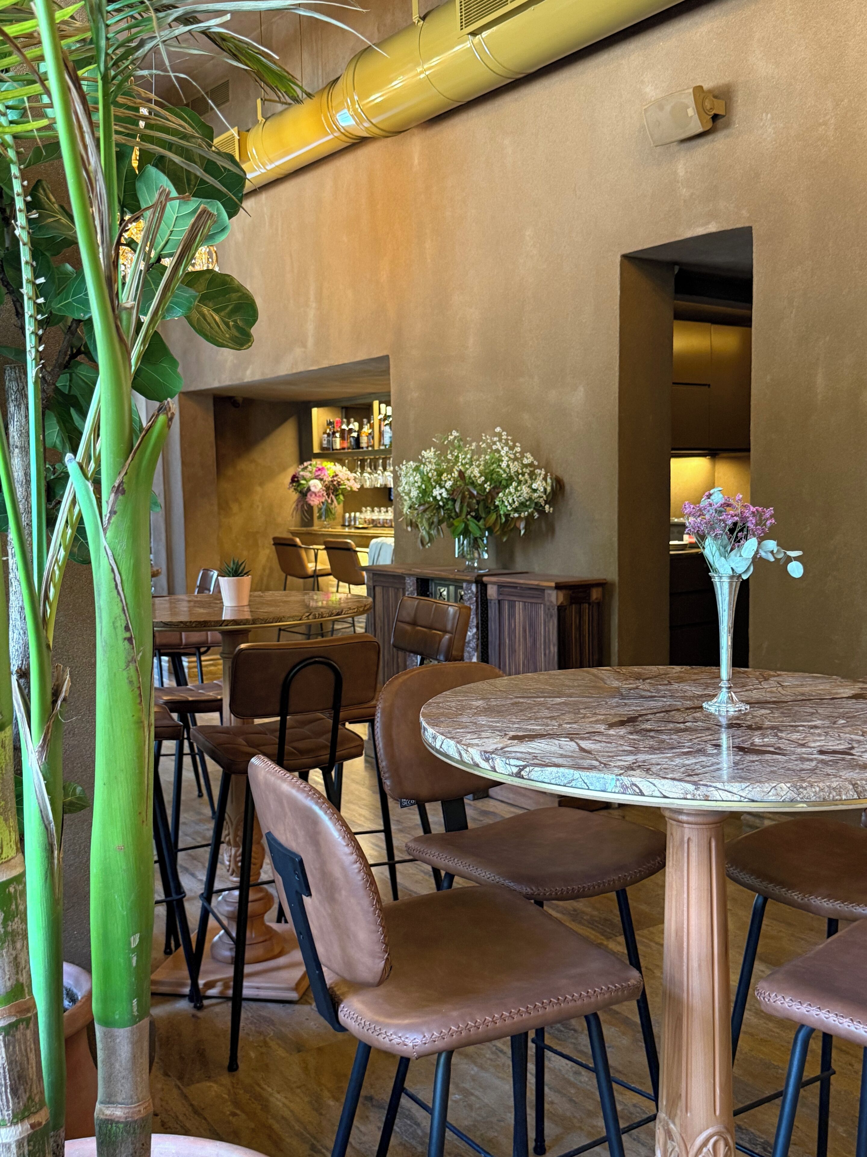 Un restaurante con mesas redondas y sillas de cuero marrón, una zona de bar con estantes llenos de botellas, y una planta verde grande.