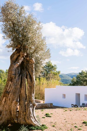 Overnattingsstedets uteområder