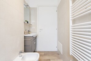 Shower, hair dryer, bidet, towels