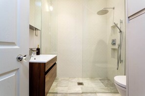Shower, hair dryer, towels