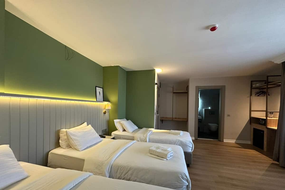 Business Triple Room, 3 Single Beds, City View