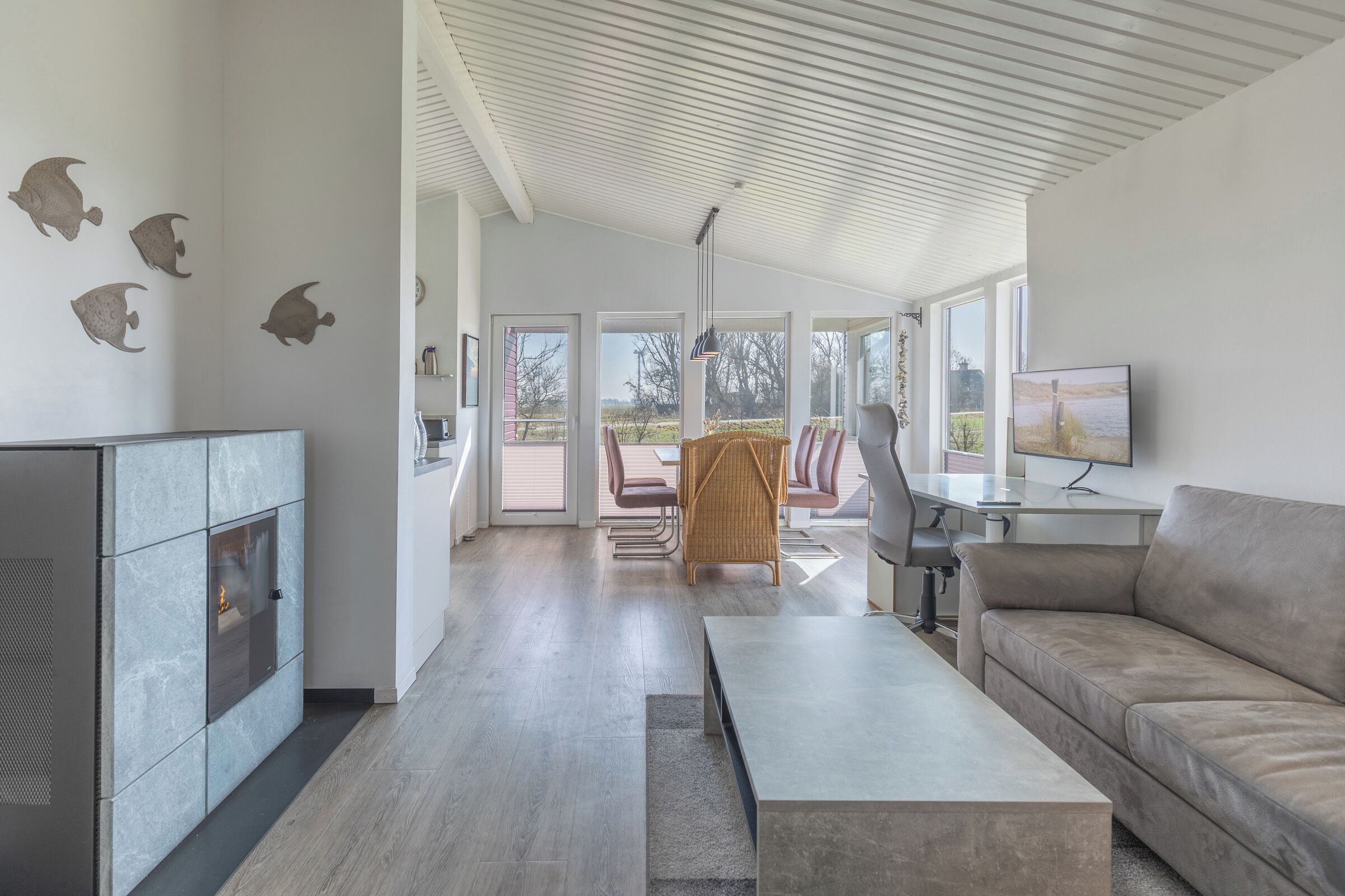 TV, ping pong, books, stereo