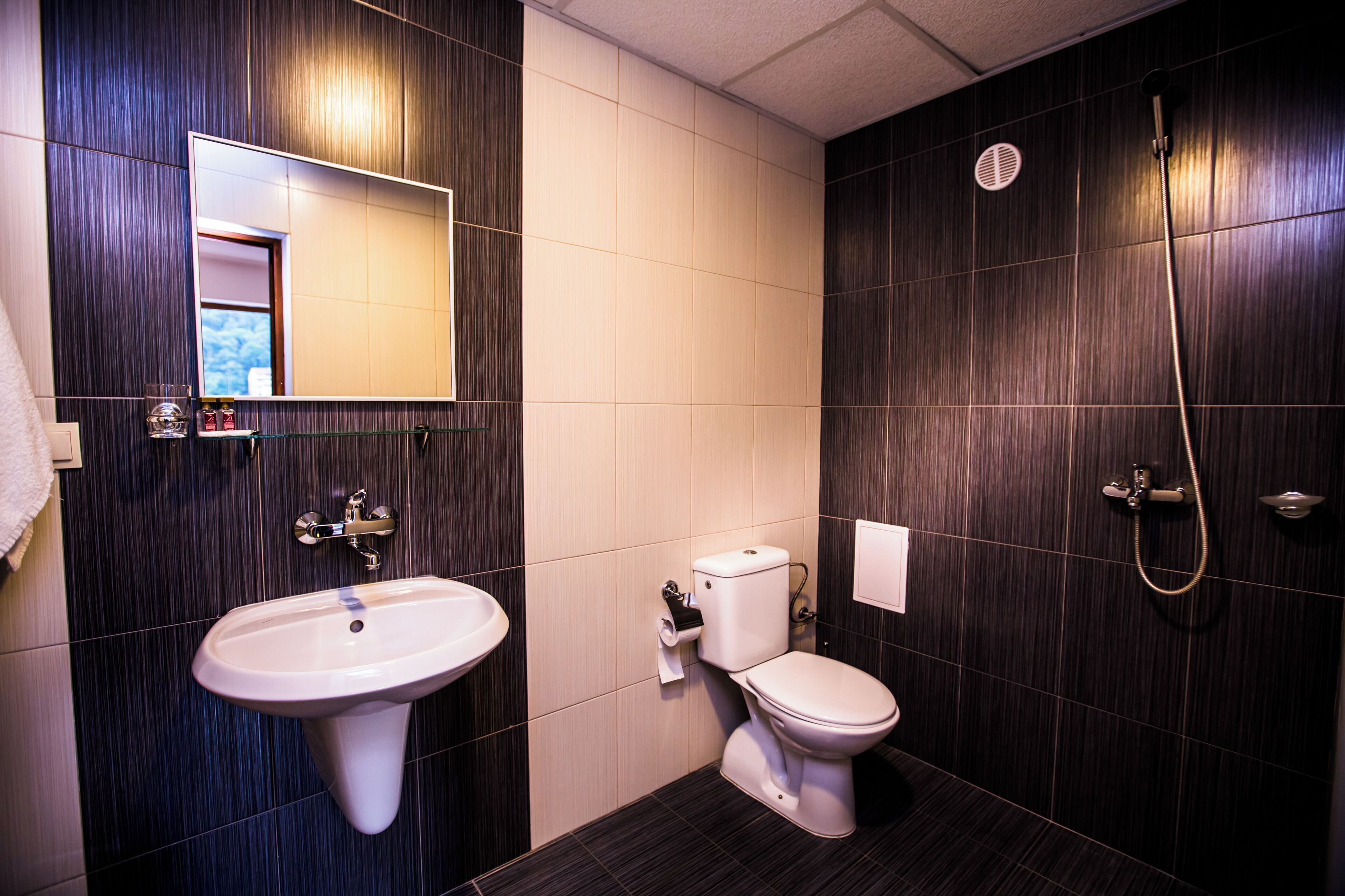 A modern bathroom with a sink, toilet, and shower.