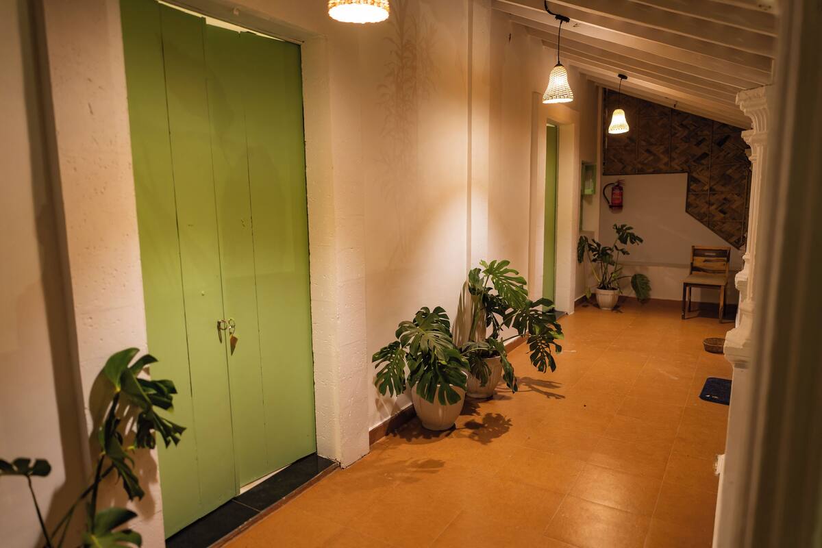 Un pasillo con una puerta verde, plantas en macetas e iluminación colgante.