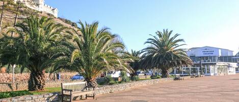 平房 | 露台/庭院