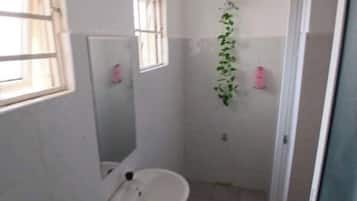 Een douche, een bidet, handdoeken, zeep