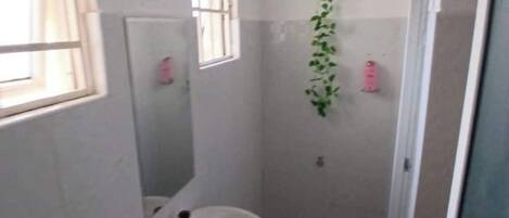 Shower, bidet, towels, soap