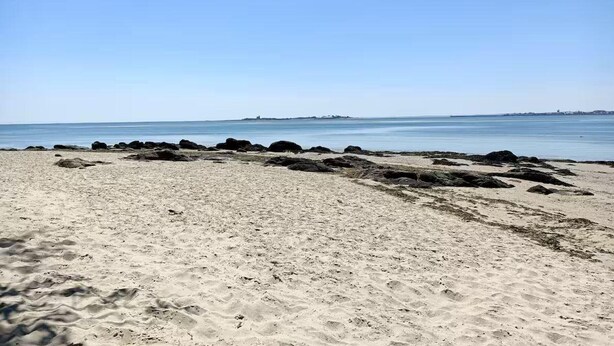 A beach with clear skies and calm waters. - Modern house in Réville, near beach, pets allowed (Reville)