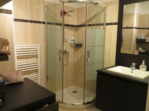 A glass-enclosed shower stall with a handheld showerhead, a white sink with a soap dispenser, and a towel rack.