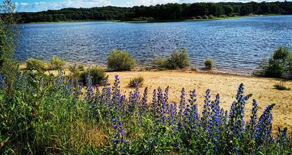 Maison conviviale avec terrasse privée à Sanchey