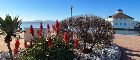 Terrain de lâhĂ©bergement