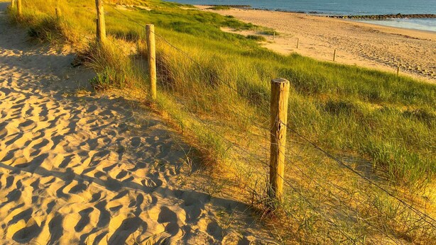 A sandy beach with a wooden fence and grass.