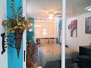 Appartement, 1 slaapkamer, toegankelijk voor mindervaliden, roken