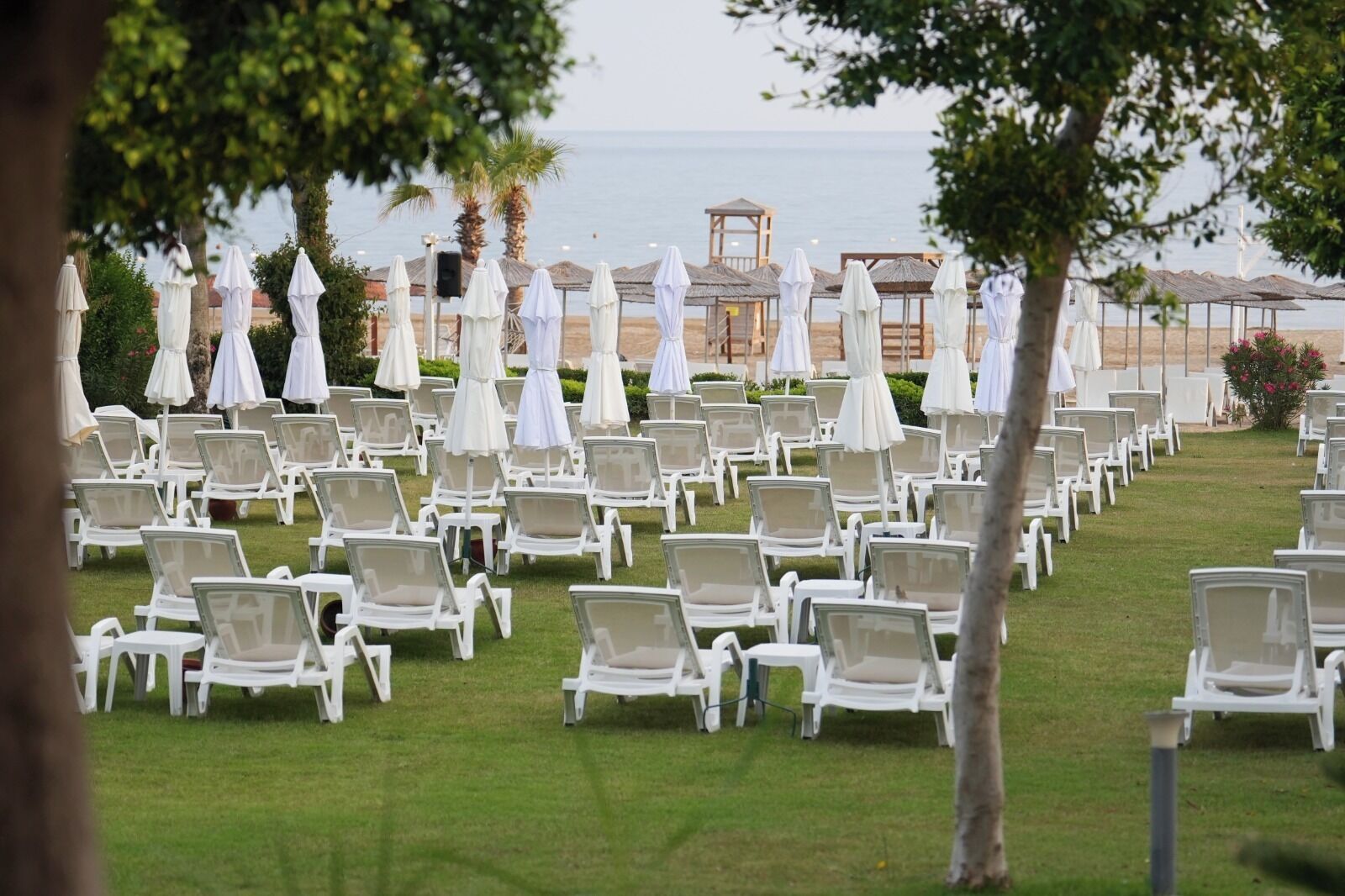 Filas de sillones blancos y sombrillas dispuestas sobre un césped con vista al mar y palmeras al fondo.