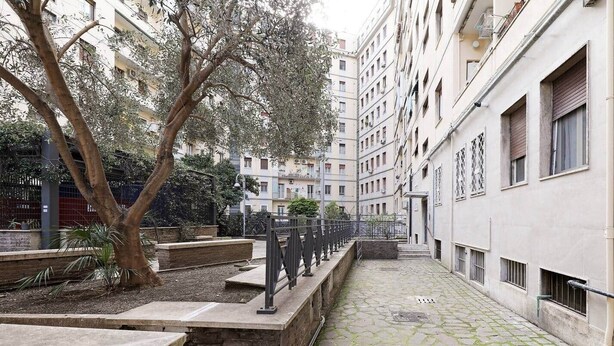 A courtyard with a tree, steps, and a building with multiple windows.