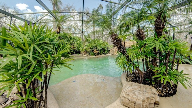 Un área de piscina interior con plantas tropicales y una piscina de agua cristalina.
